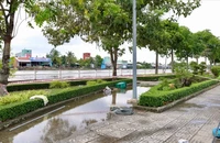 TP.HCM rà soát toàn diện hệ thống chiếu sáng, tủ điện... đề phòng rò rỉ điện